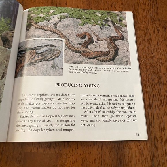 Snakes. Four paperback books about snakes and reptiles. - Picture 13 of 14